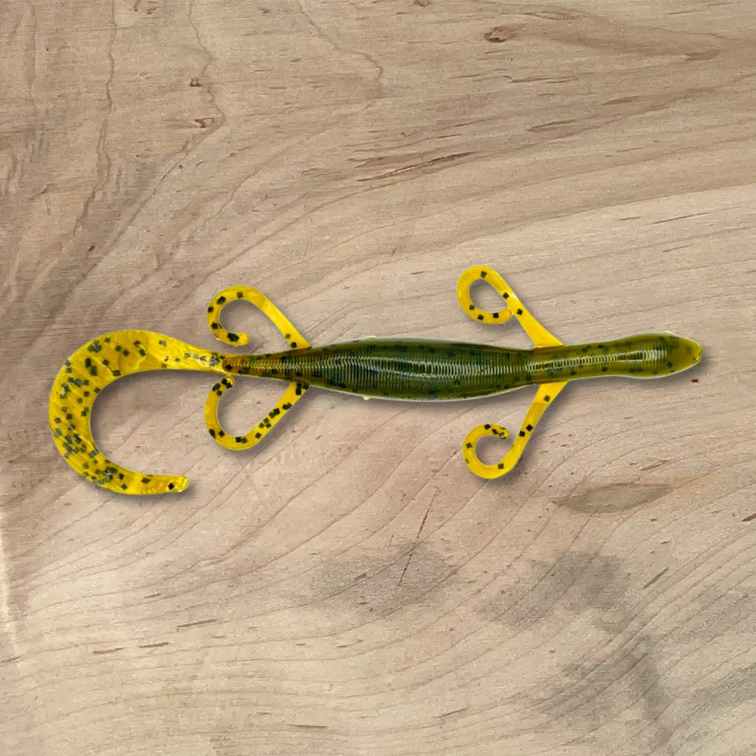 Lizards