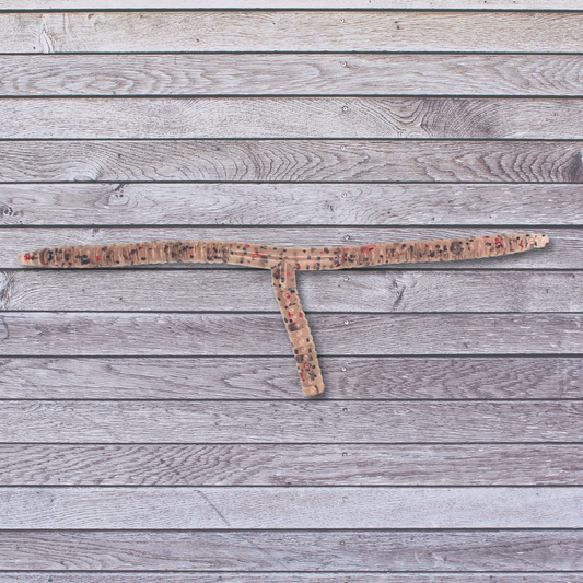 6" T-Worm (5 Pack)
